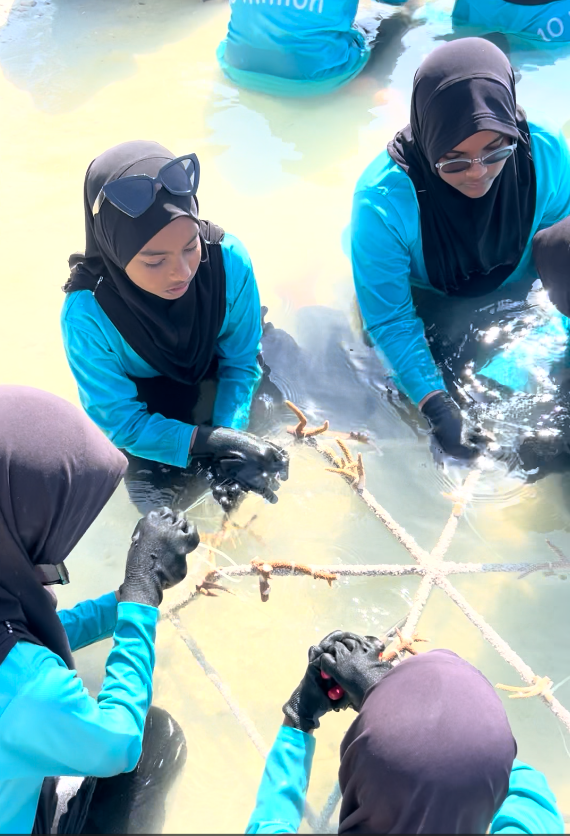 Girl Guide students attaching coral fragments during Coral Quest with Muraka Farm