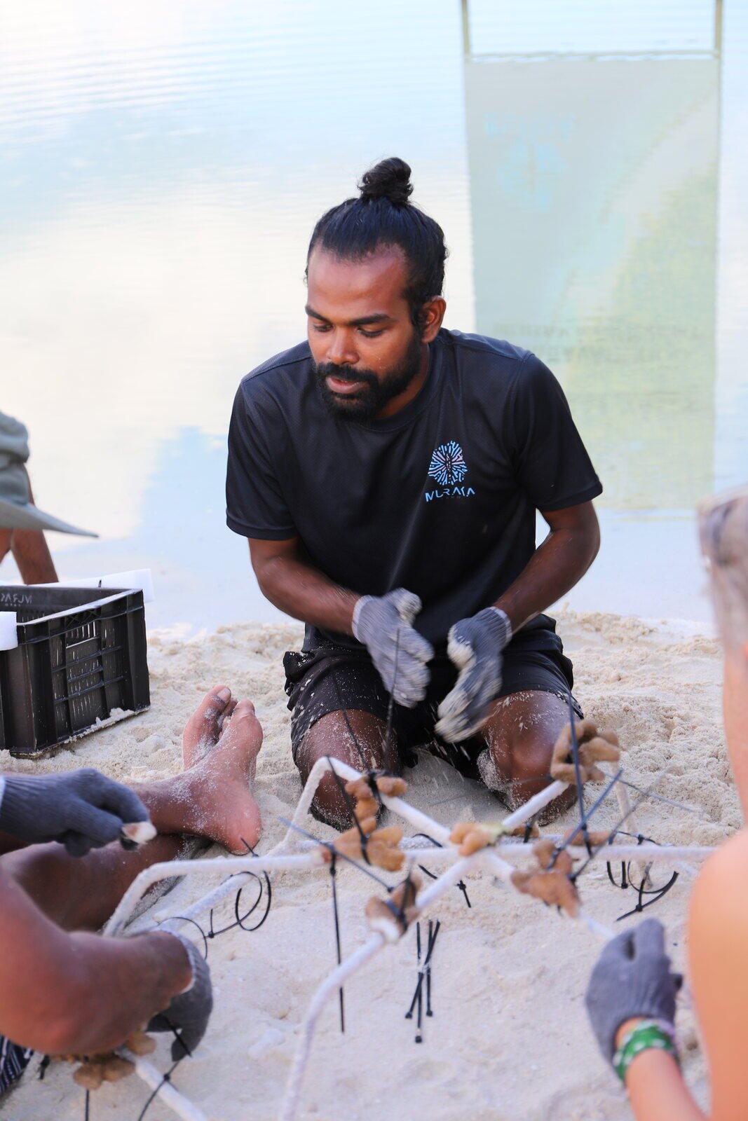 Muraka Farm team attaching coral fragments to a restoration frame in Dharavandhoo