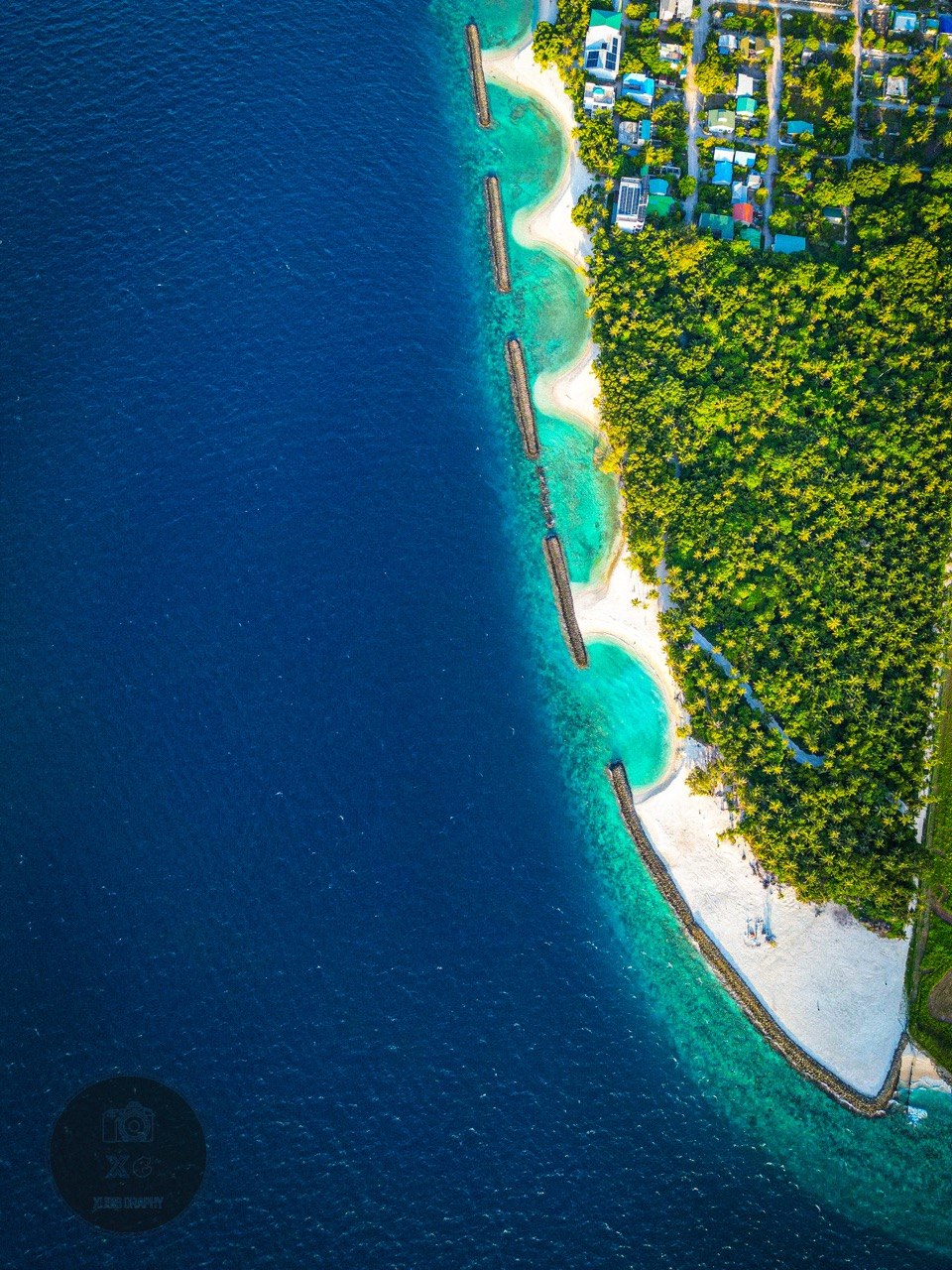 Vertical aerial view of Dharavandhoo's palm-lined coastline, beaches and deep-blue ocean