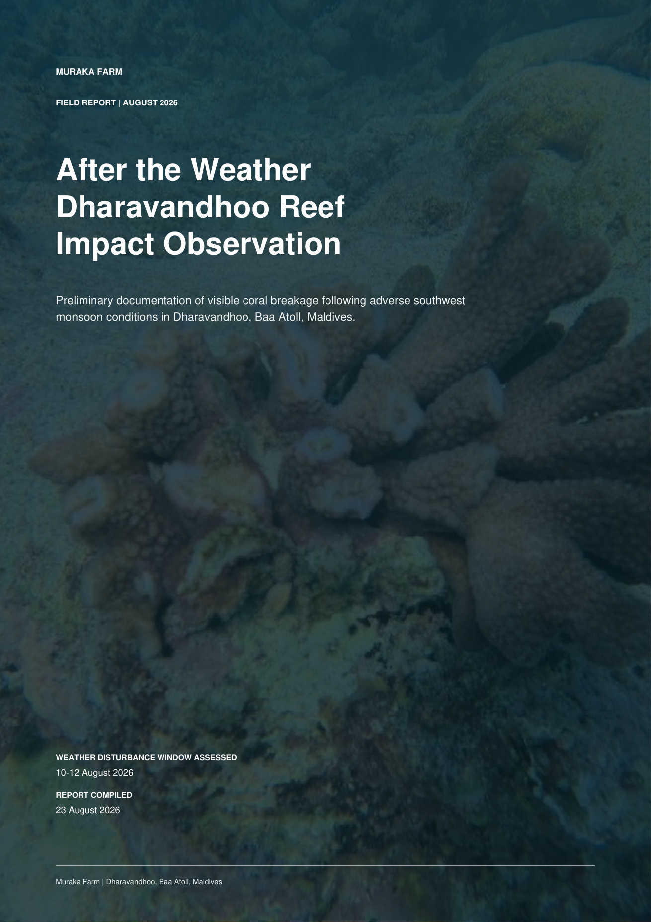 Cover image for the Muraka Farm report After the Weather — Dharavandhoo Reef Impact Observation.